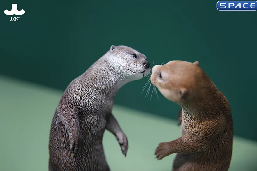 1/6 Scale Otter