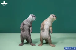 1/6 Scale Otter (grey)