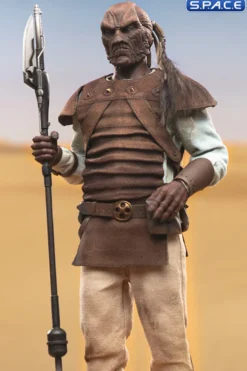 1/6 Scale Pagetti Rook Scum & Villainy