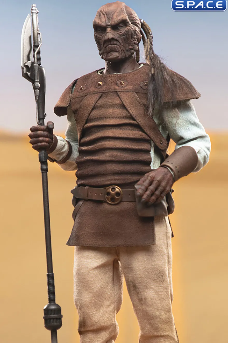 1/6 Scale Pagetti Rook Scum & Villainy
