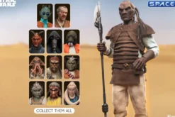1/6 Scale Pagetti Rook Scum & Villainy