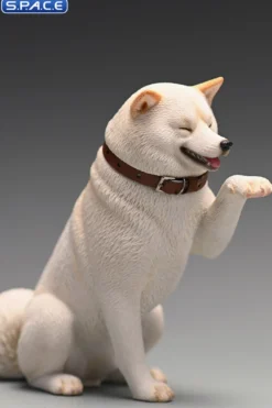 1/6 Scale Play Cute Shiba Inu