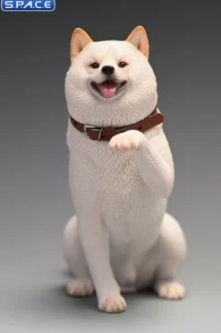 1/6 Scale Play Cute Shiba Inu