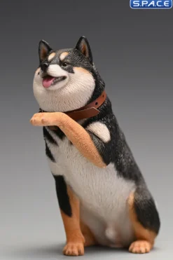 1/6 Scale Play Cute Shiba Inu