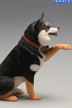 1/6 Scale Play Cute Shiba Inu
