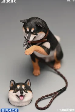 1/6 Scale Play Cute Shiba Inu