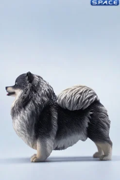 1/6 Scale Pomeranian