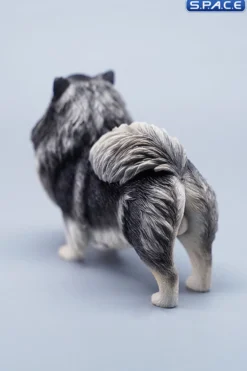 1/6 Scale Pomeranian