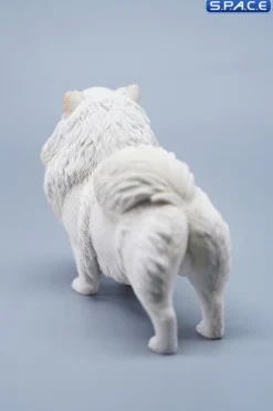 1/6 Scale Pomeranian
