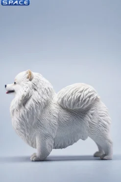 1/6 Scale Pomeranian