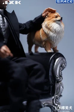 1/6 Scale Pomeranian (brown)