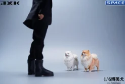 1/6 Scale Pomeranian (brown)