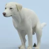 1/6 Scale pooping Labrador