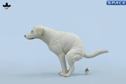 1/6 Scale pooping Labrador