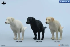 1/6 Scale pooping Labrador