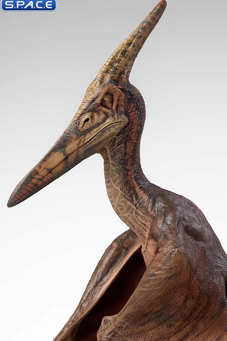 1/5 Scale Pteranodon Maquette