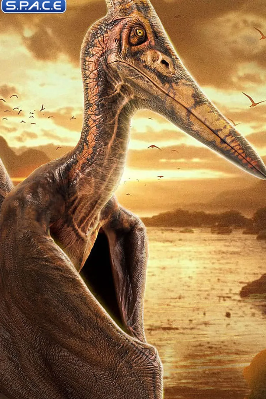 1/5 Scale Pteranodon Maquette