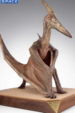1/5 Scale Pteranodon Maquette