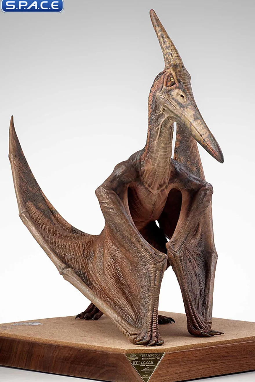 1/5 Scale Pteranodon Maquette