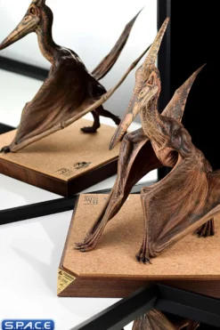 1/5 Scale Pteranodon Maquette