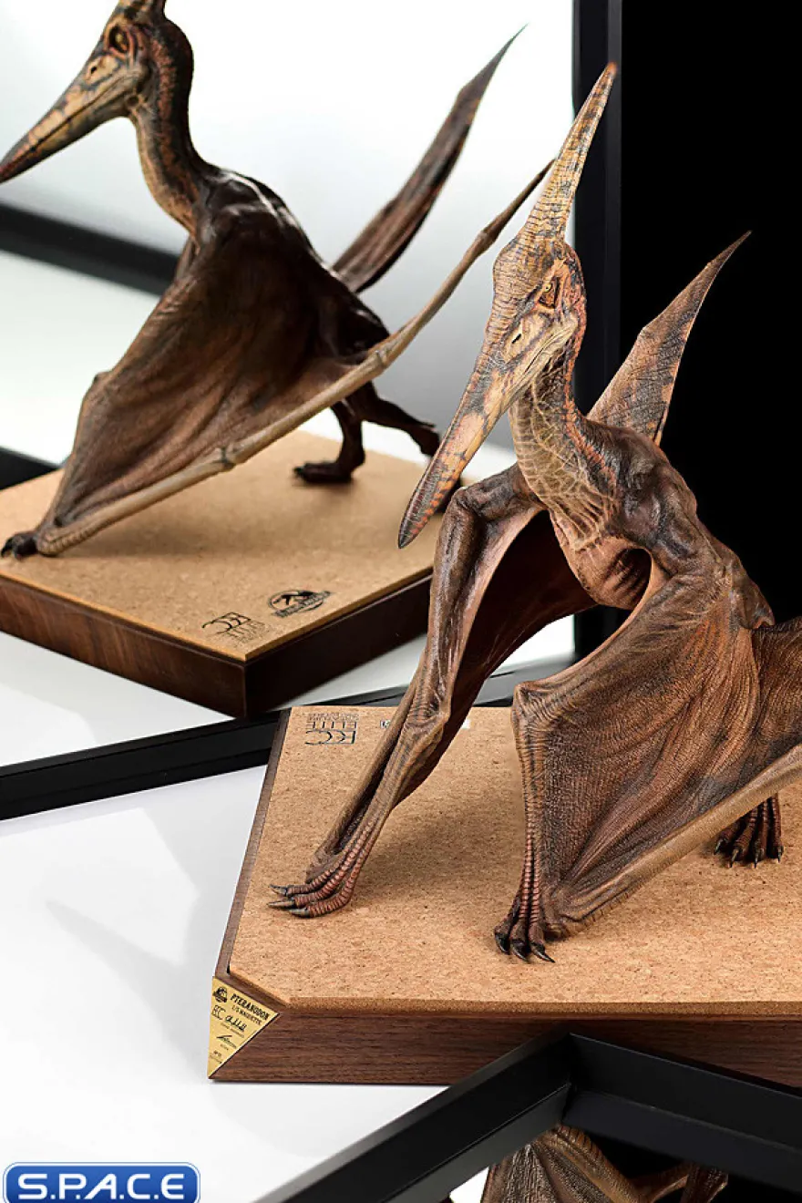 1/5 Scale Pteranodon Maquette
