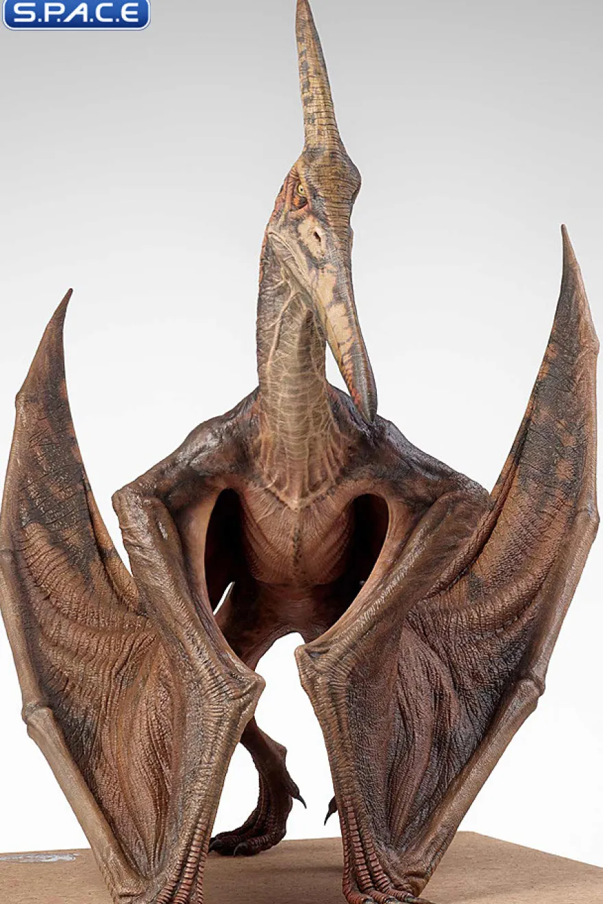 1/5 Scale Pteranodon Maquette