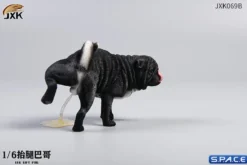 1/6 Scale Pug leg lift