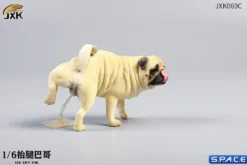 1/6 Scale Pug leg lift