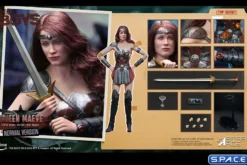 1/6 Scale Queen Maeve