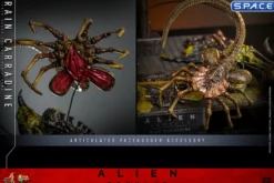 1/6 Scale Rain Carradine Movie Masterpiece MMS793