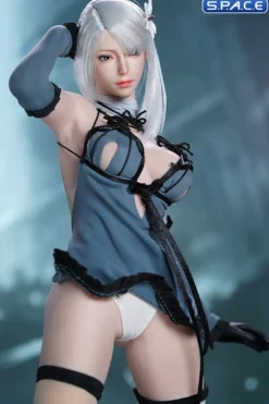 1/6 Scale Robot Girl Character Set