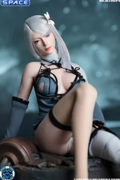 1/6 Scale Robot Girl Character Set