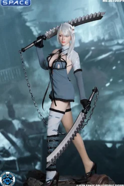1/6 Scale Robot Girl Character Set