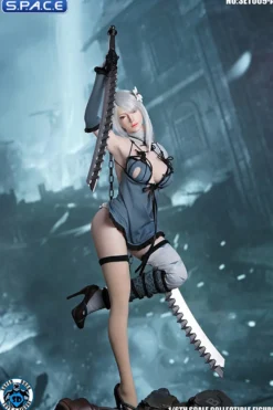 1/6 Scale Robot Girl Character Set