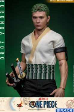 1/6 Scale Roronoa Zoro TV Masterpiece TMS110