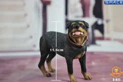 1/6 Scale Rottweiler