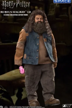 1/6 Scale Rubeus Hagrid 2.0