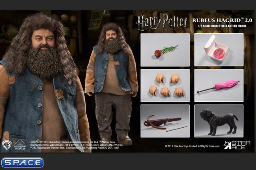 1/6 Scale Rubeus Hagrid 2.0