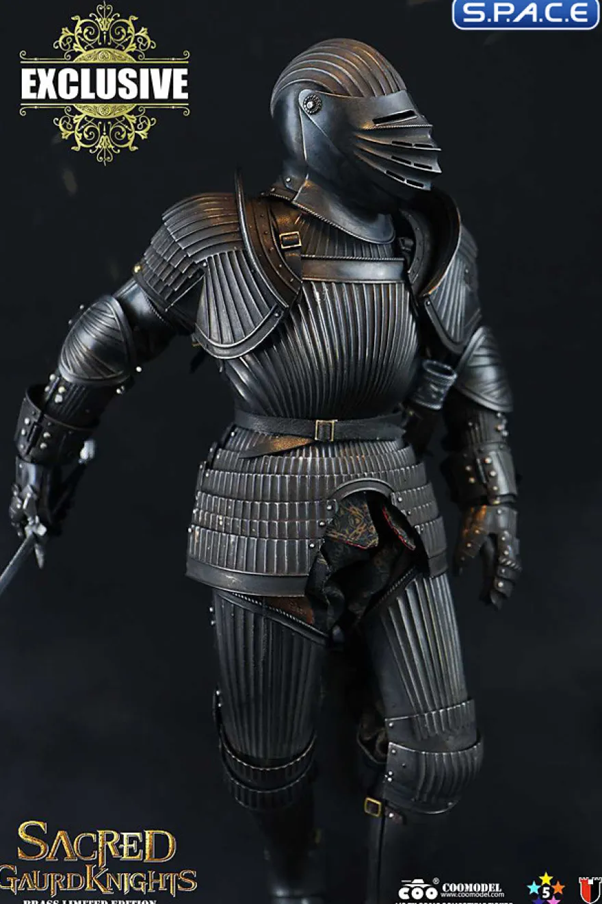 1/6 Scale Sacred black Guard Knight