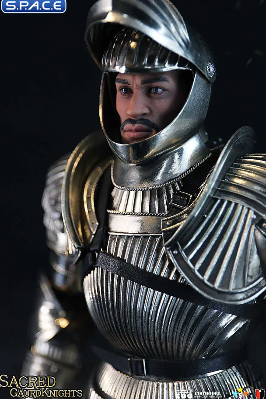 1/6 Scale Sacred Guard Knight