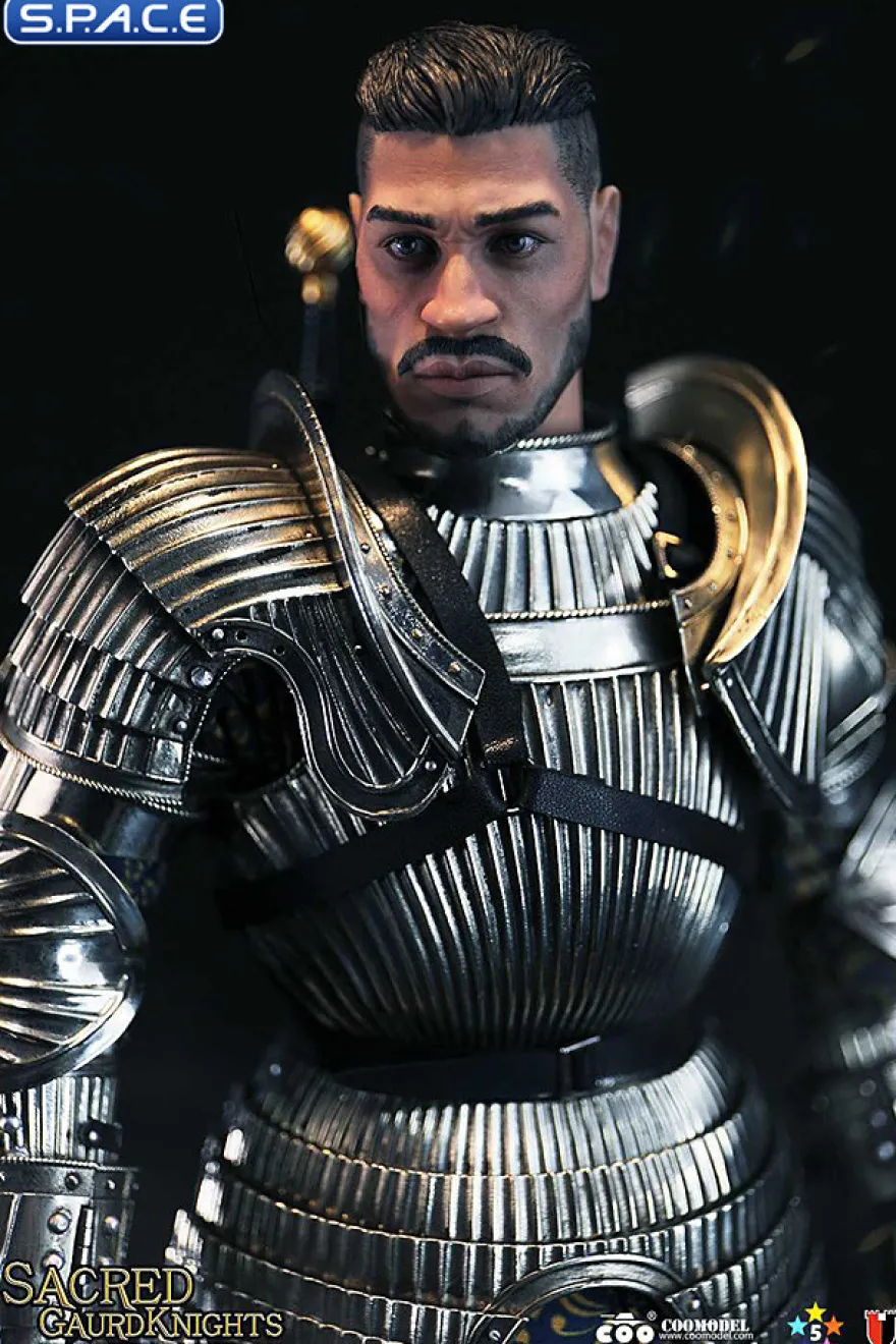 1/6 Scale Sacred Guard Knight