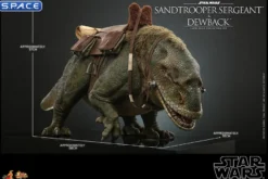 1/6 Scale Sandtrooper Sergeant & Dewback
