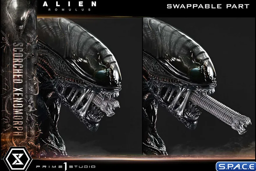 1/3 Scale Scorched Xenomorph Museum Masterline XL Statue (Alien: Romulus)