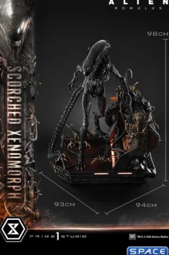 1/3 Scale Scorched Xenomorph Museum Masterline XL Statue (Alien: Romulus)
