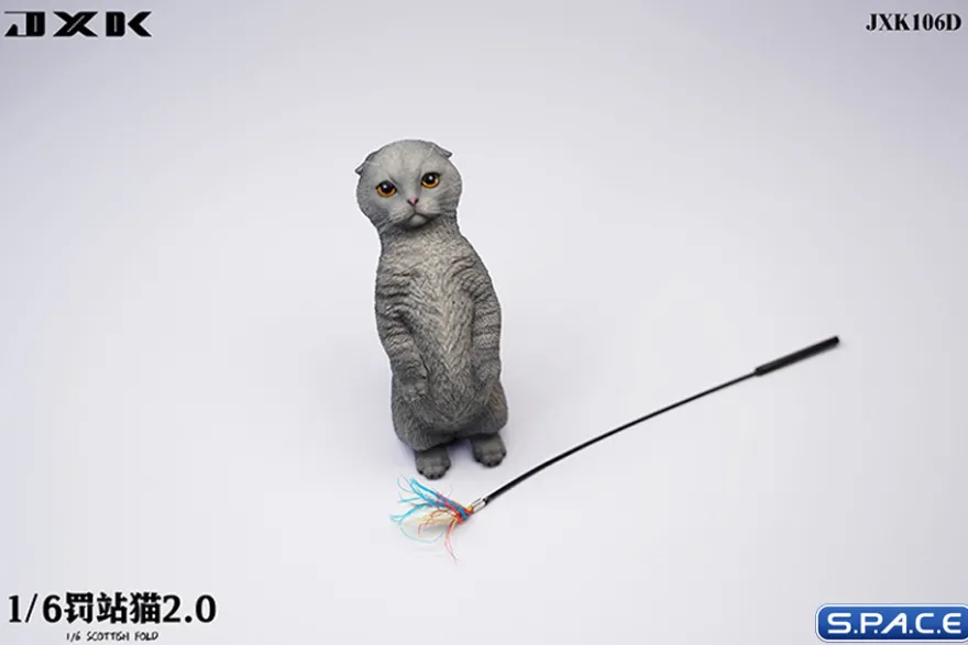 1/6 Scale Scottish Fold