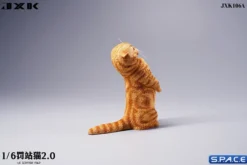 1/6 Scale Scottish Fold