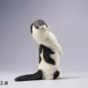 1/6 Scale Scottish Fold