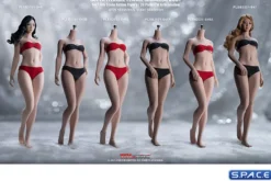 1/6 Scale Seamless female Body S47A / headless