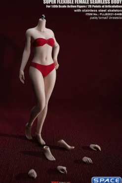 1/6 Scale Seamless female Body S46B / headless