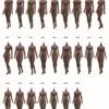 1/6 Scale Seamless female Body S38B / headless